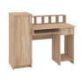Computer Desk "Paralel"