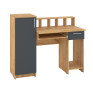 Computer Desk "Paralel"
