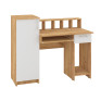 Computer Desk "Paralel"