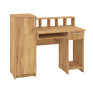 Computer Desk "Paralel"