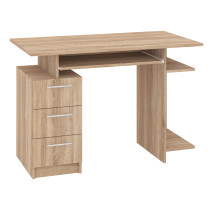 Computer Desk "Pegas"