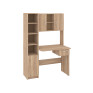 Writing Desk "Piligrim"