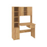 Writing Desk "Piligrim"