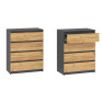 Chest of Drawers "NS-4"