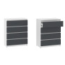Chest of Drawers "NS-4"
