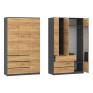 Wardrobe «NS-SH-3»