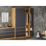 Wardrobe «NS-SH-3»