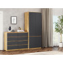 Wardrobe «NS-SHG»