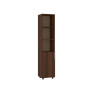 Tall Cabinet "P-1"