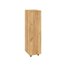 Cabinet "TO-1"