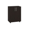Cabinet "TO-2"