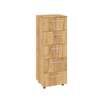 Cabinet "TO-4А"