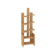 Shelf-9