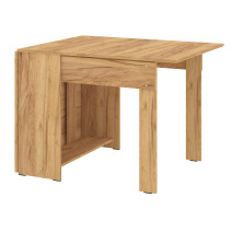 Folding Table-1