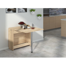 Folding Table-2