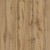 Appalachian oak