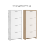 Shoe Cabinet "Rene" 4D